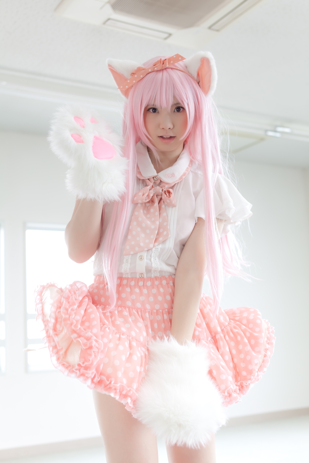(Cosplay) [Enako] Enacat