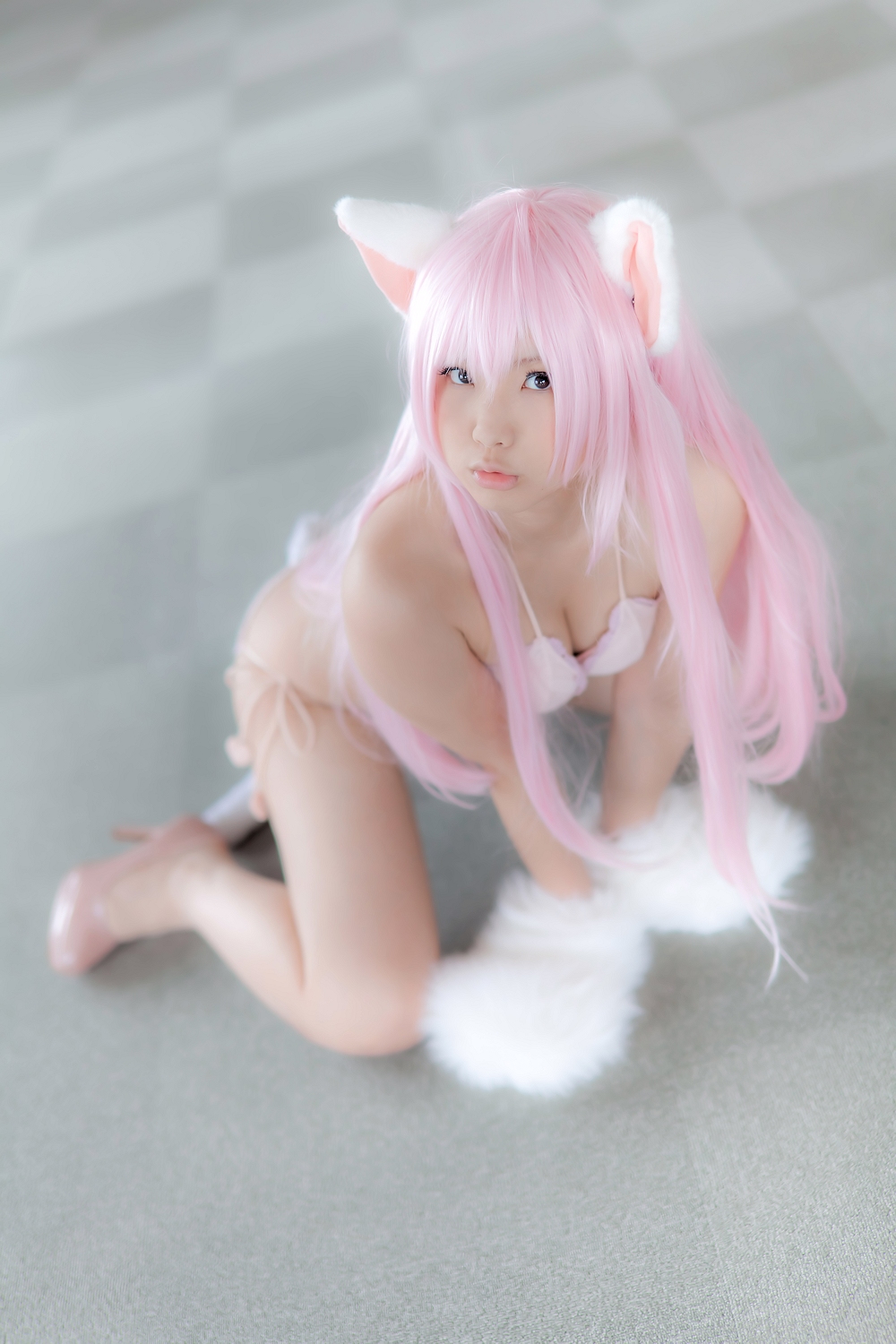 (Cosplay) [Enako] Enacat