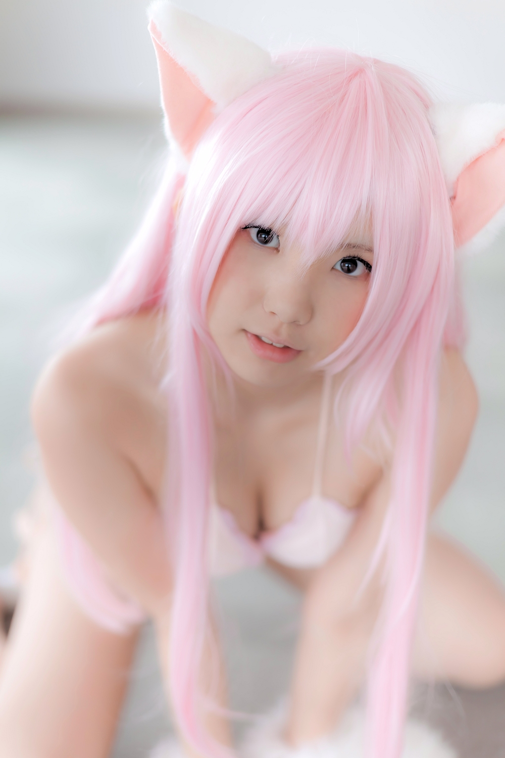 (Cosplay) [Enako] Enacat