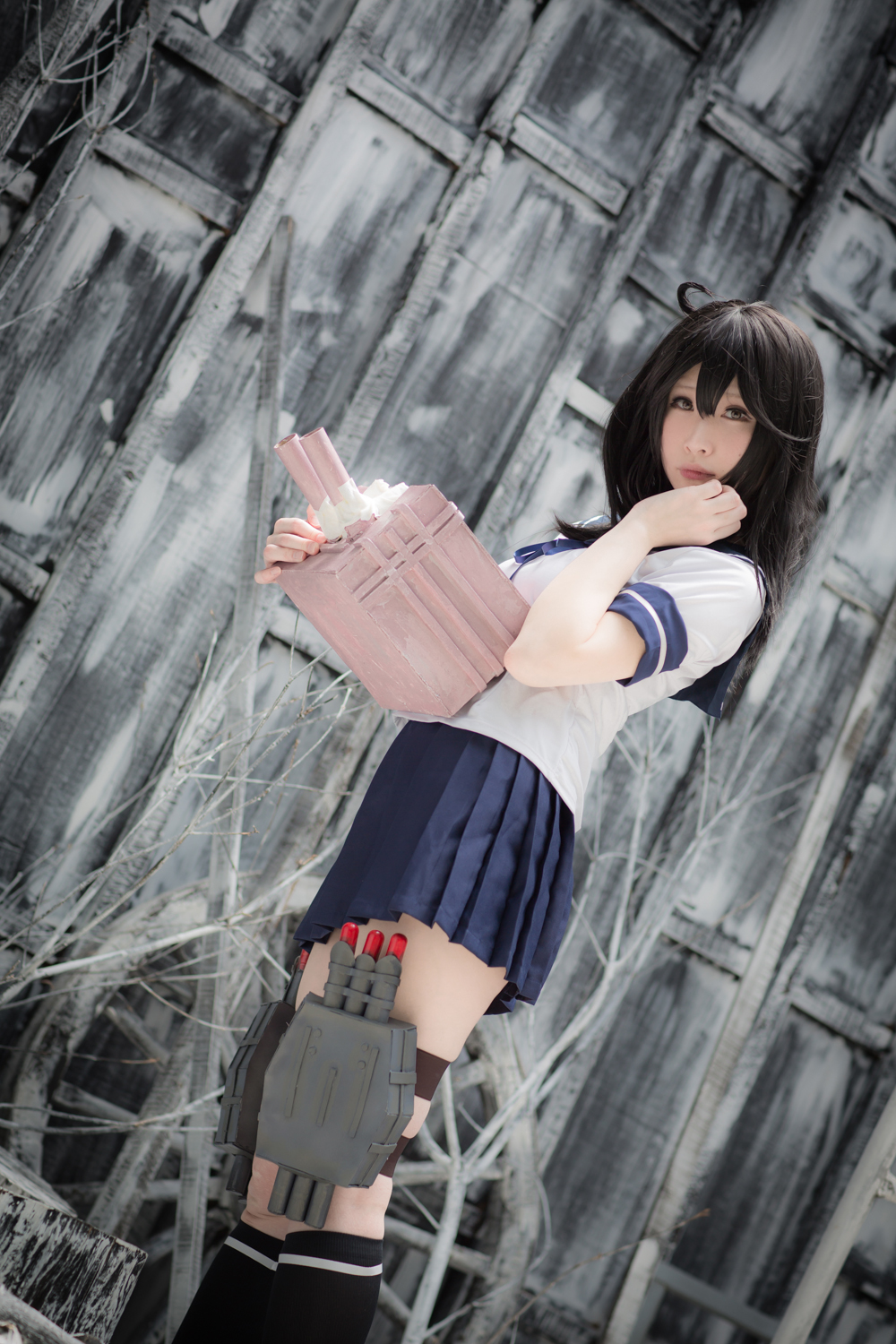 [Bộ của tôi] Bộ sưu tập bộ 10 (Haruna, Ushio)