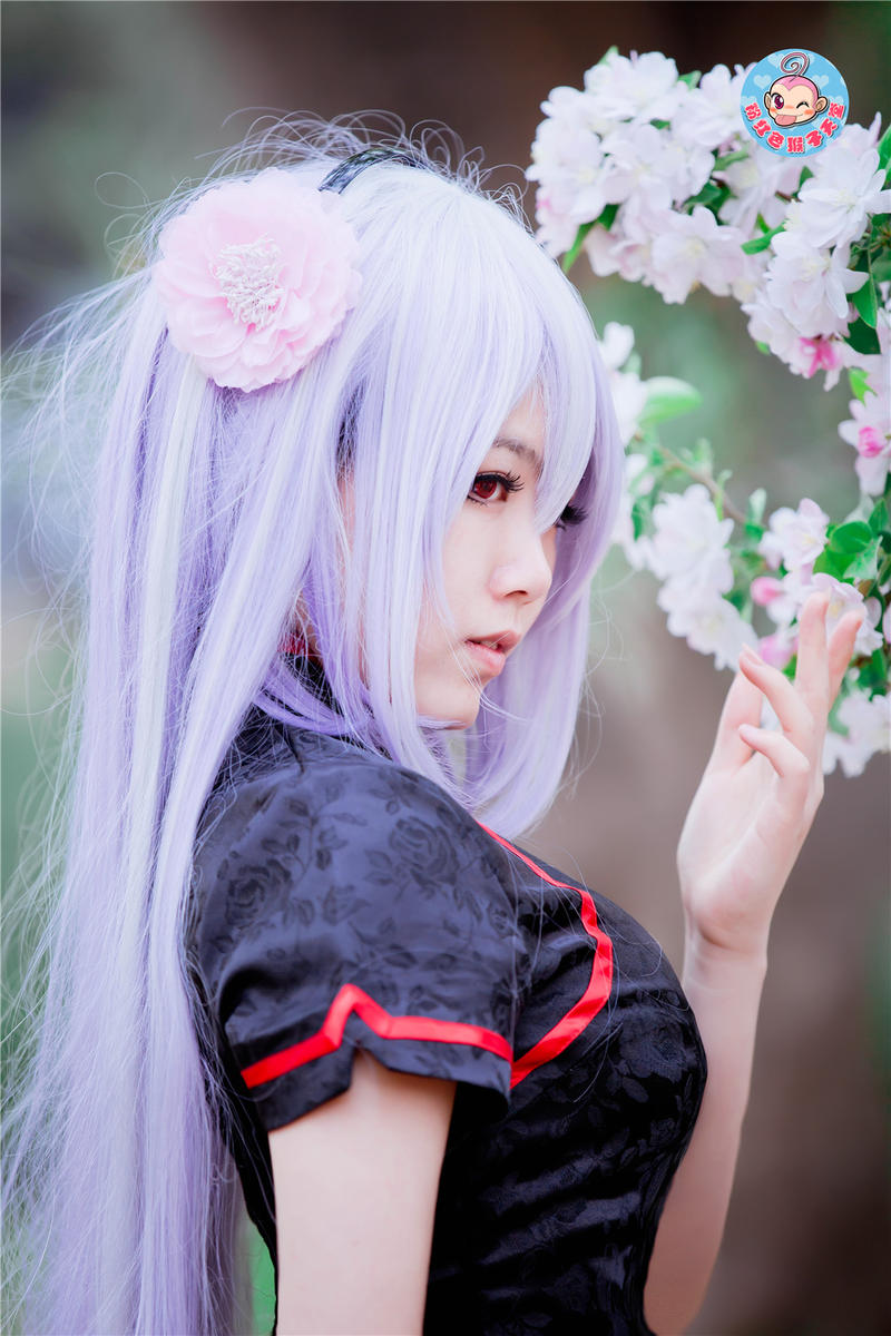 "Vocaloid" Haku Cheongsam phiên bản c o s p l a y