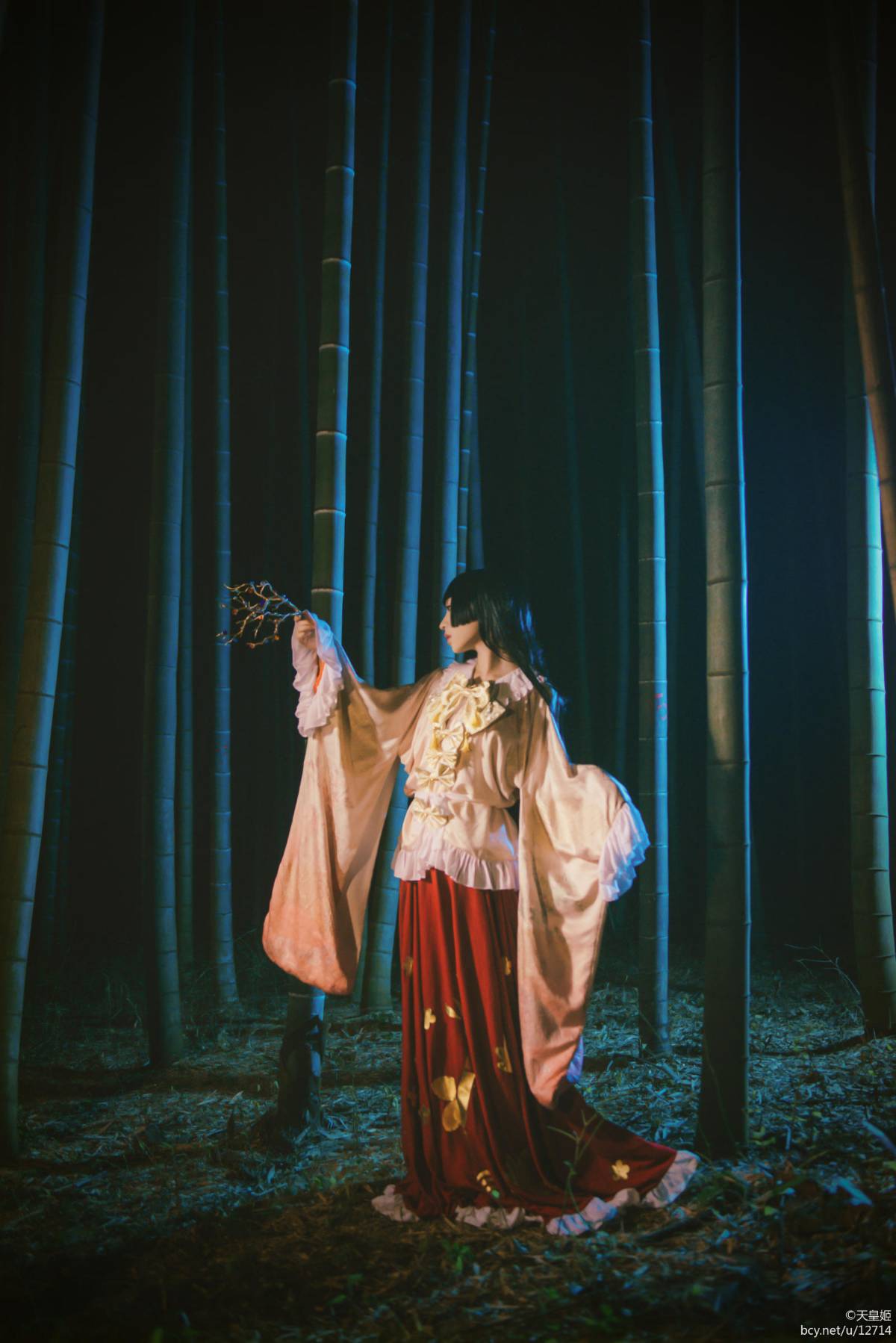 "Dự án phương Đông" mãi mãi và tội nhân của Núi Penglai Kaguya c o s p l a y