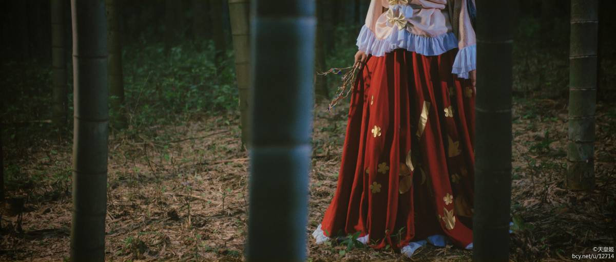 "Dự án phương Đông" mãi mãi và tội nhân của Núi Penglai Kaguya c o s p l a y