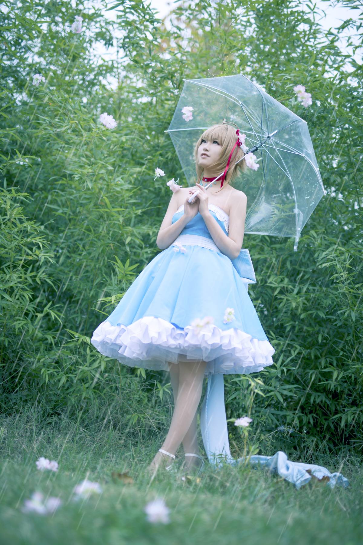"Wings Age" Công chúa Sakura's Rain C o s p l a y