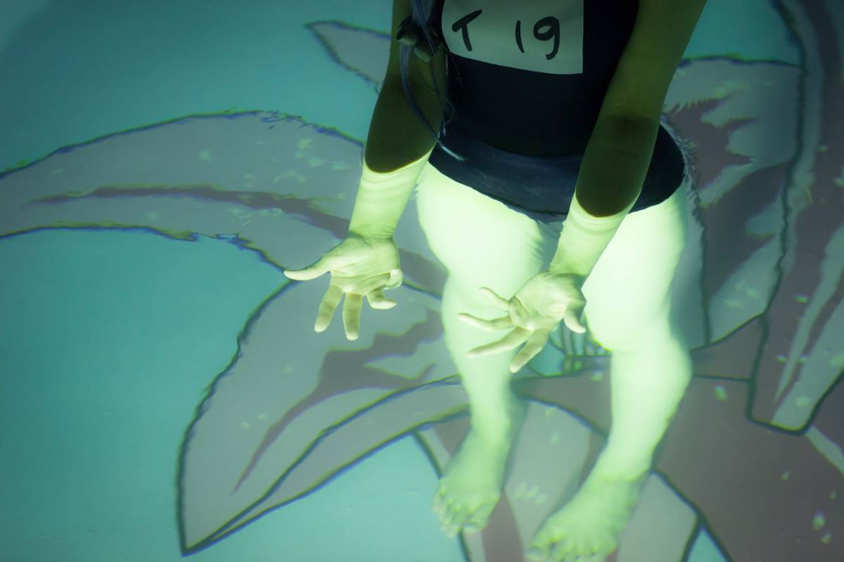 [Bộ của tôi] Bộ sưu tập bộ 4