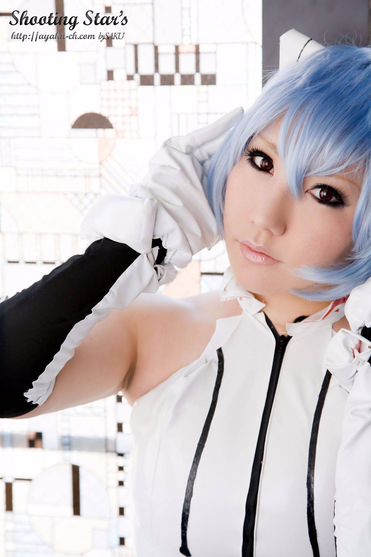 [Chụp Star's] Loại đầu trắng không