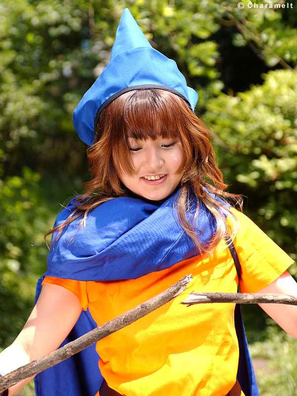 [Charamelt] Arena @Dragon Quest IV (Sataka Kyoko)