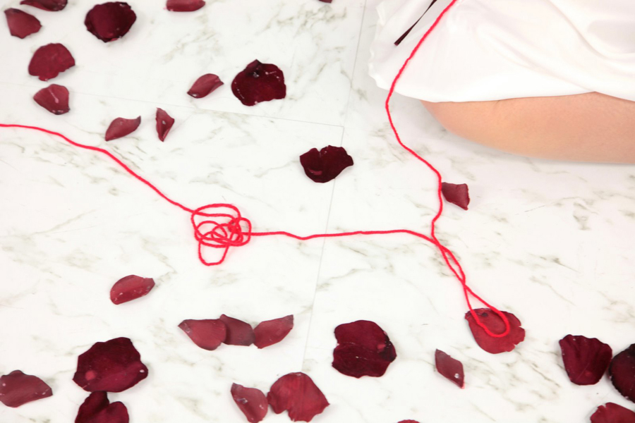 [Mariposa Luz de la Luna (Chotsuki Maaya)] Toriko