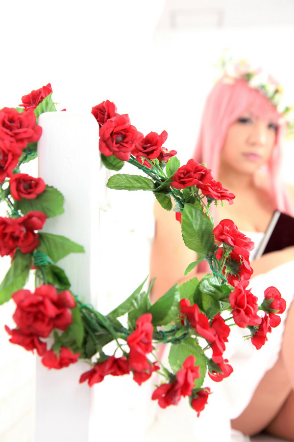 [Mariposa Luz de la Luna (Chotsuki Maaya)] Toriko