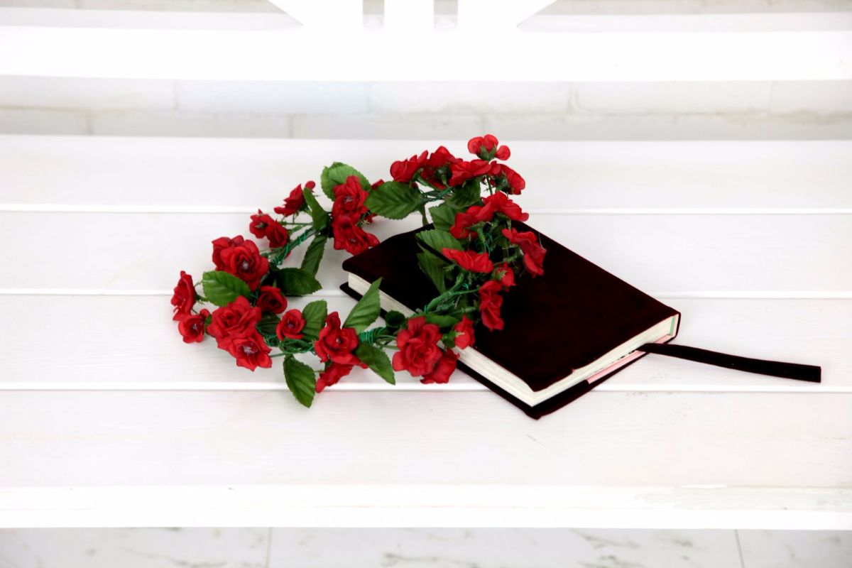 [Mariposa Luz de la Luna (Chotsuki Maaya)] Toriko