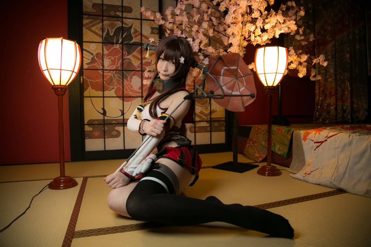 [Bộ của tôi] Bộ sưu tập bộ 18 (Iowa, Yamato)