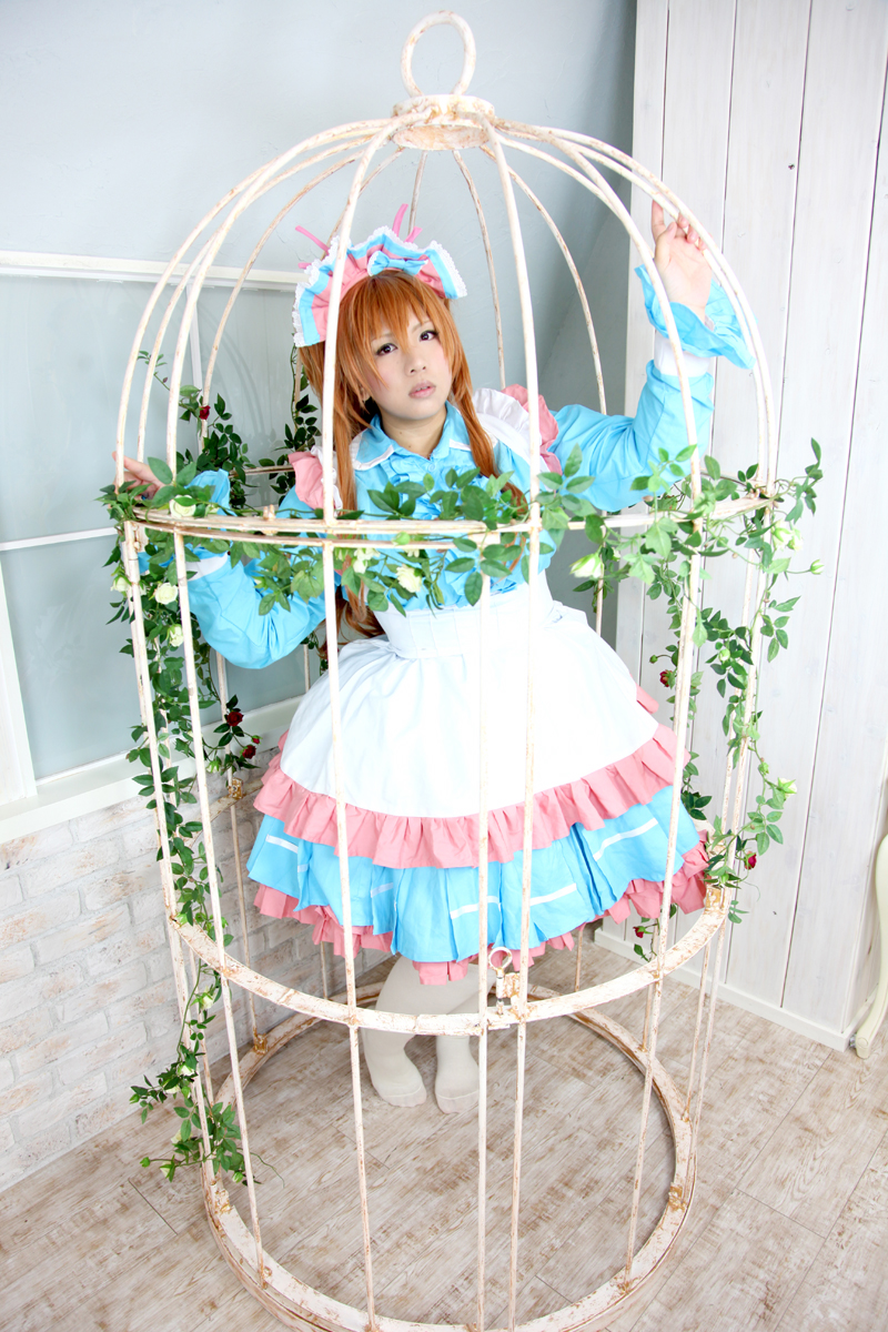 Đêm chung kết ♪