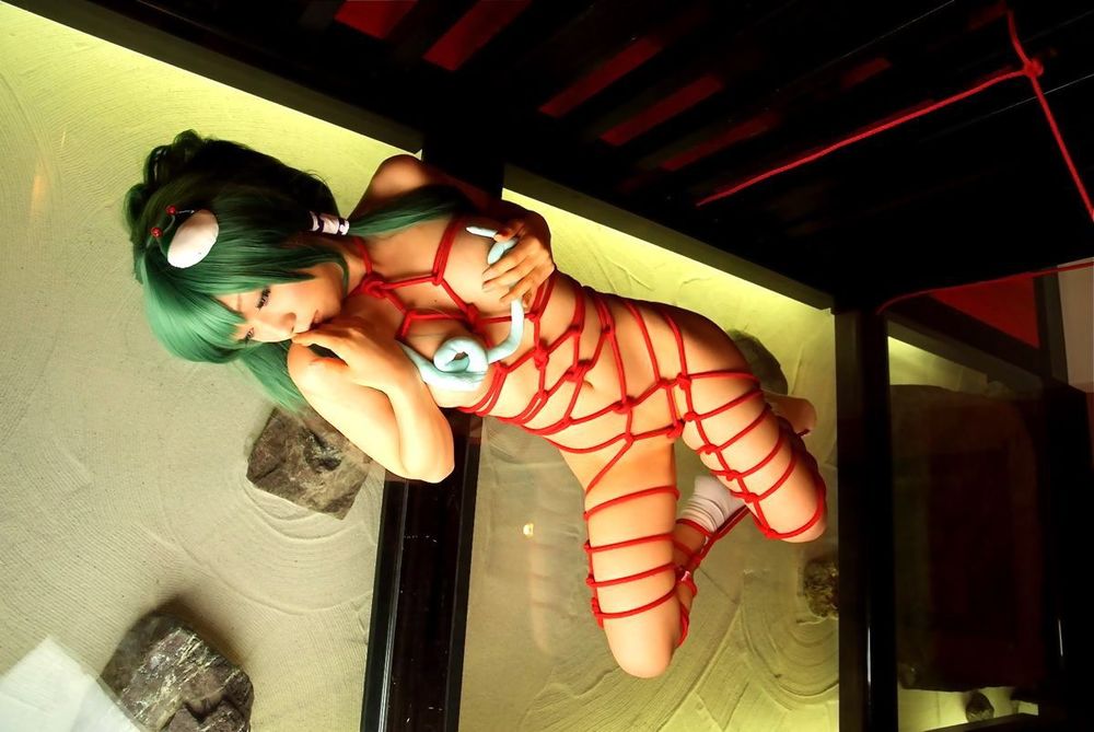 [Honey Bunny] Cuốn sách Bondage Touhou