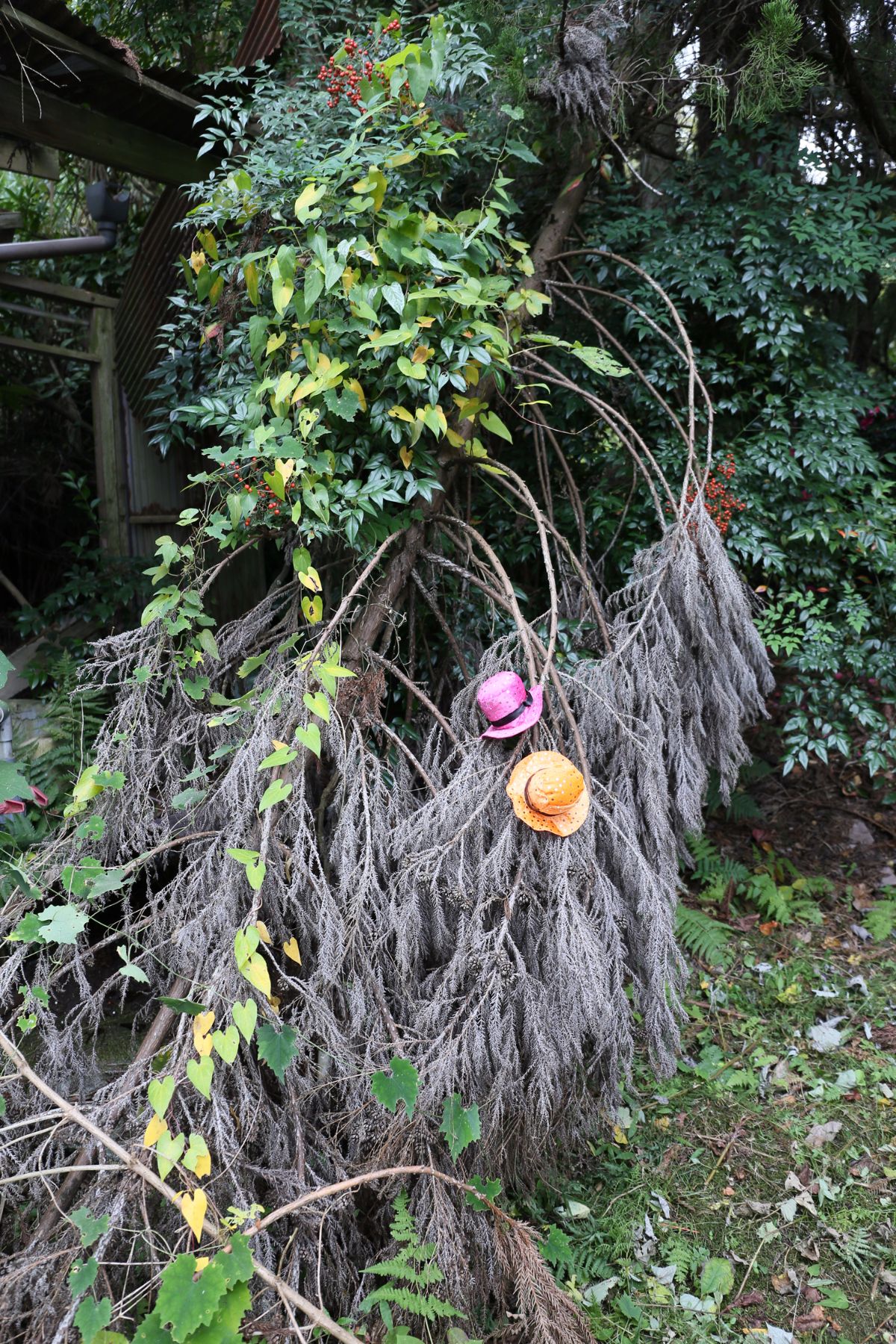 [Higashira Planning (Higashira RAN)] Alice tiếp tục