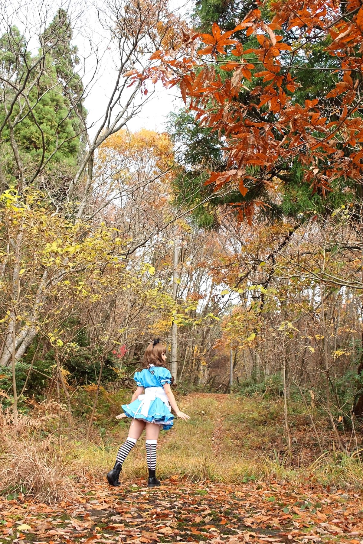 [Higashira Planning (Higashira RAN)] Alice tiếp tục