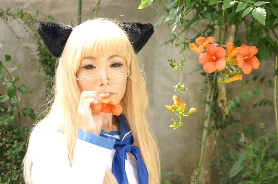 [Ngón tay vượt qua (Mameshiba Koni)] Jour Brillants (Phù thủy phù thủy)