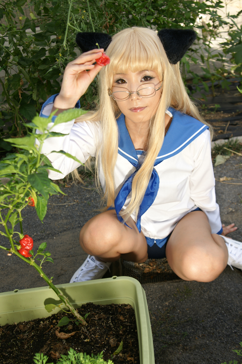 [Ngón tay vượt qua (Mameshiba Koni)] Jour Brillants (Phù thủy phù thủy)