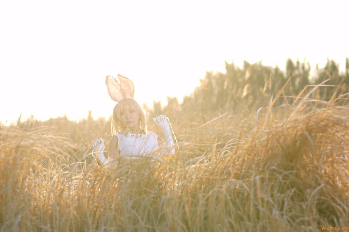 [Hiyohii Love] Bộ sưu tập ảnh của các tư thế khiêu dâm của Serval-Chan