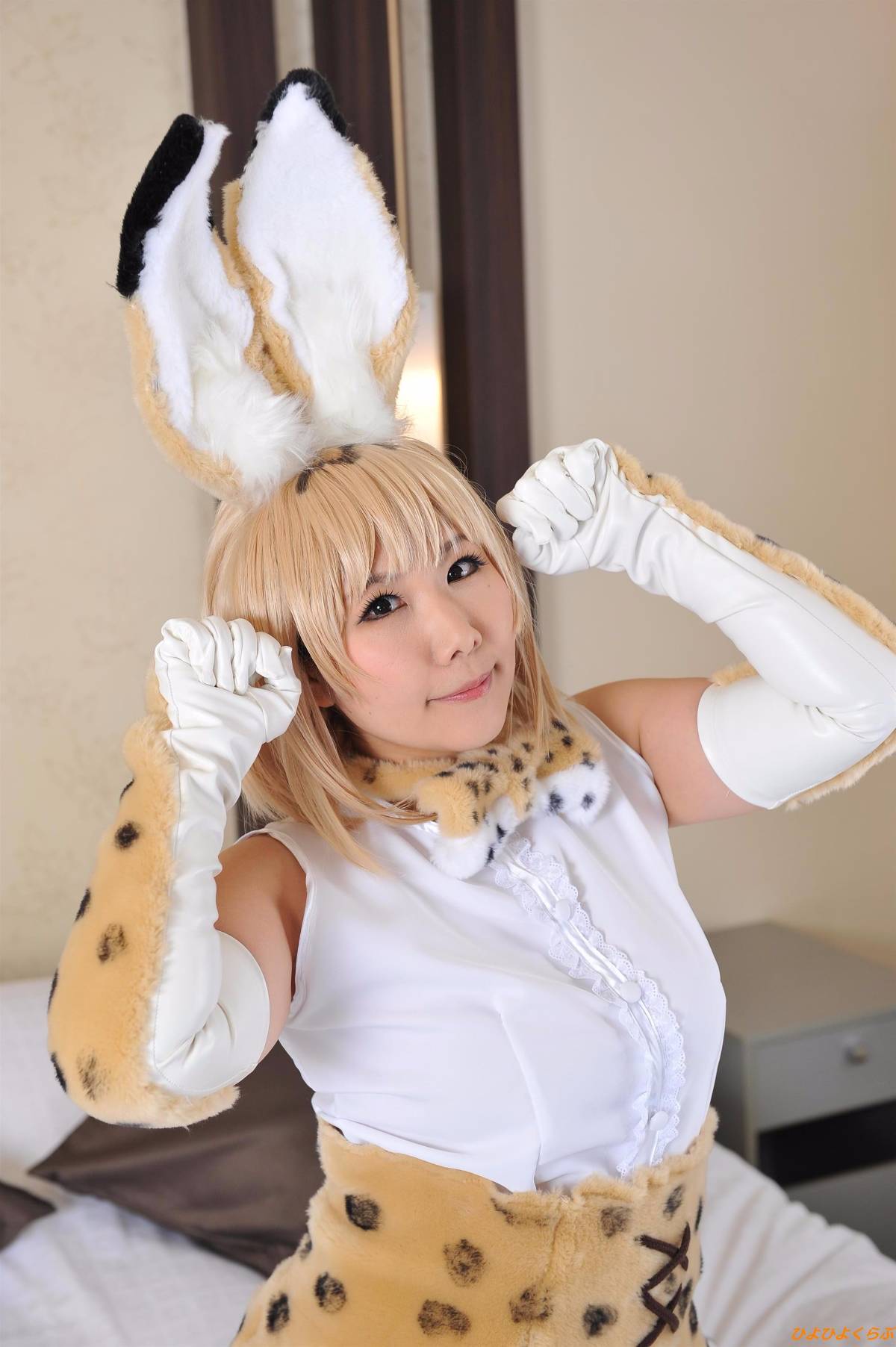 [Hiyohii Love] Bộ sưu tập ảnh của các tư thế khiêu dâm của Serval-Chan