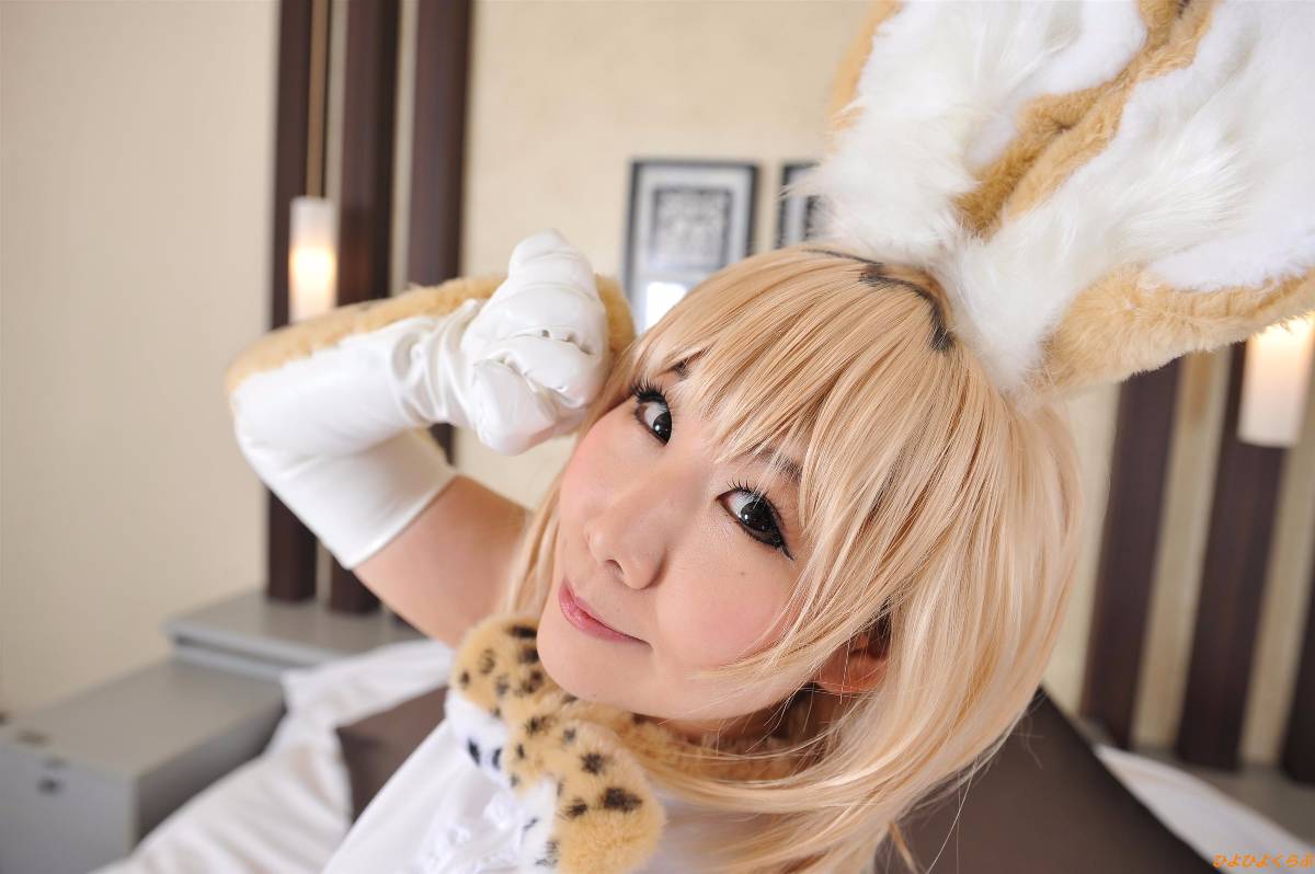 [Hiyohii Love] Bộ sưu tập ảnh của các tư thế khiêu dâm của Serval-Chan