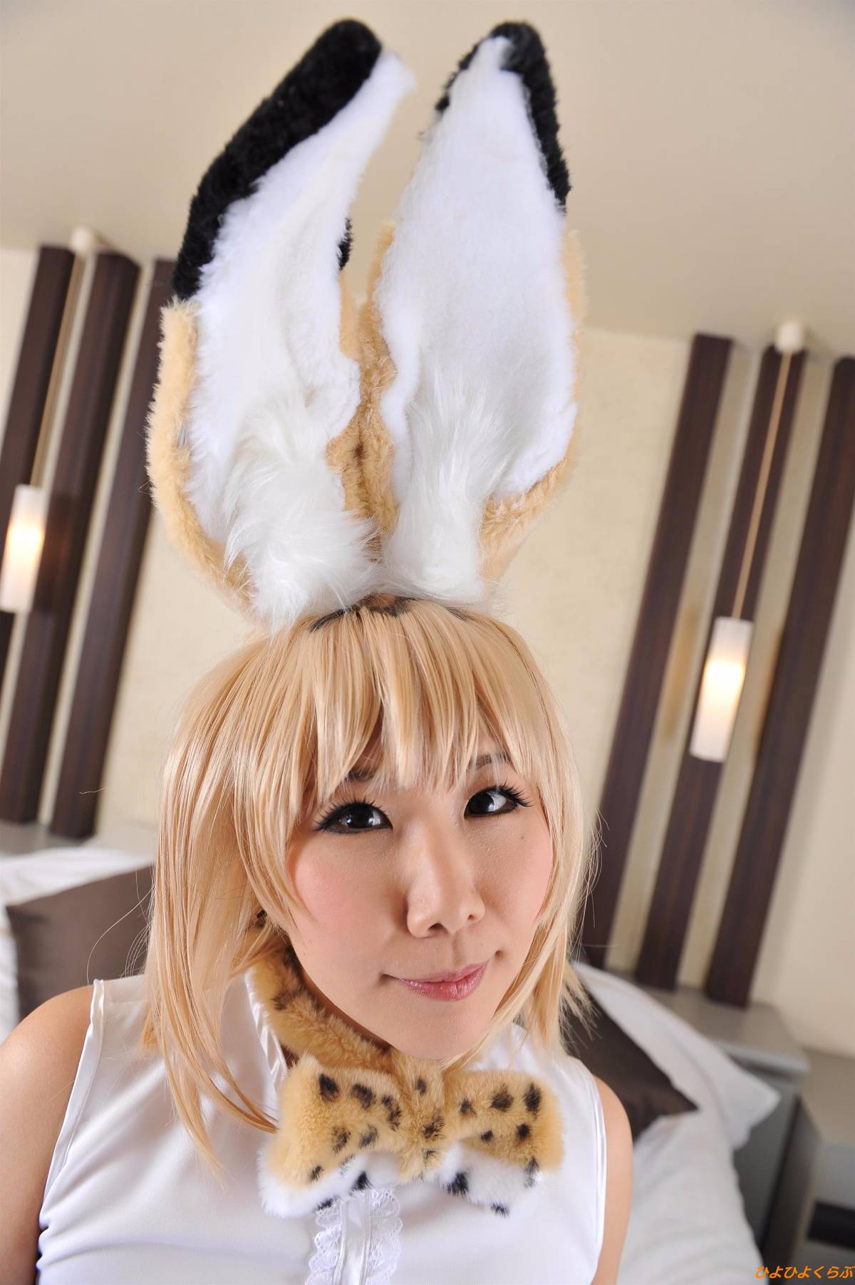 [Hiyohii Love] Bộ sưu tập ảnh của các tư thế khiêu dâm của Serval-Chan