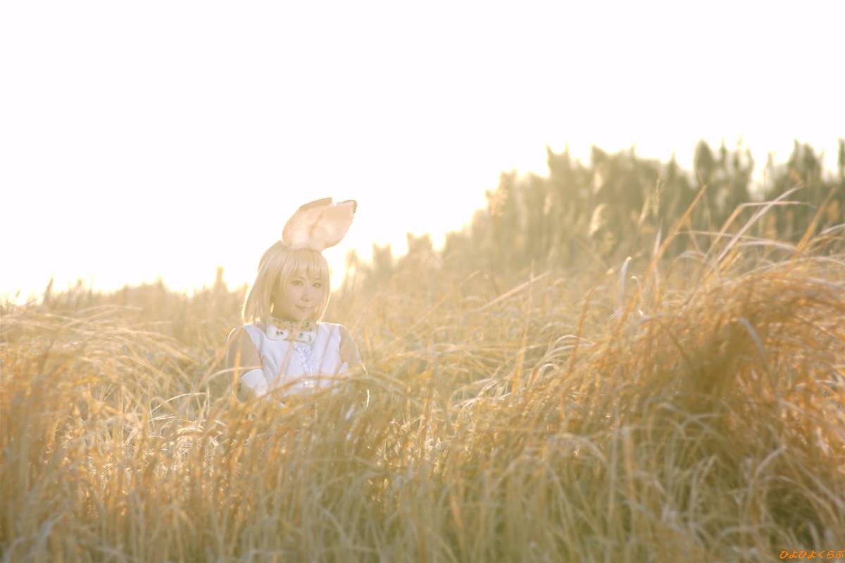 [Hiyohii Love] Bộ sưu tập ảnh của các tư thế khiêu dâm của Serval-Chan