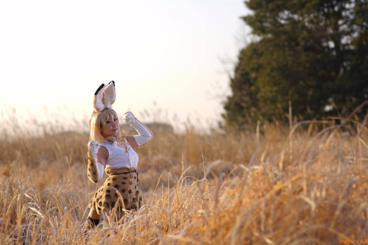 [Hiyohii Love] Bộ sưu tập ảnh của các tư thế khiêu dâm của Serval-Chan