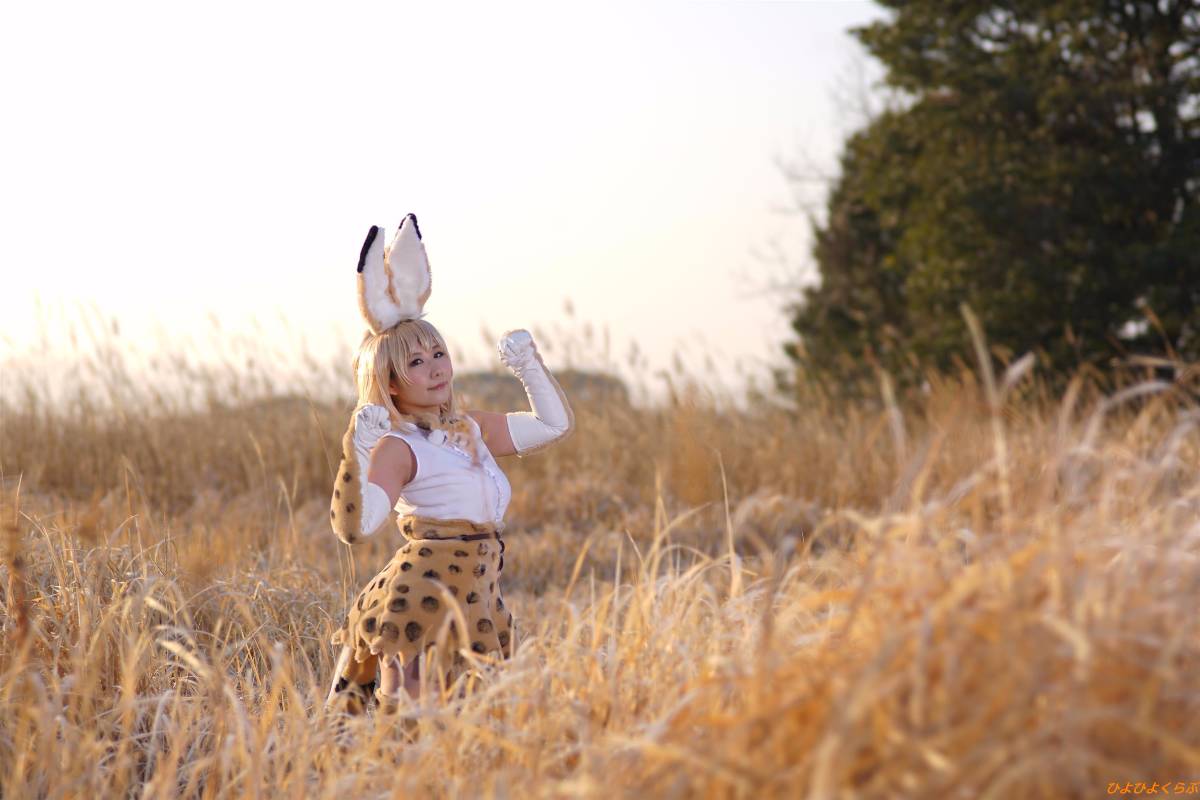 [Hiyohii Love] Bộ sưu tập ảnh của các tư thế khiêu dâm của Serval-Chan