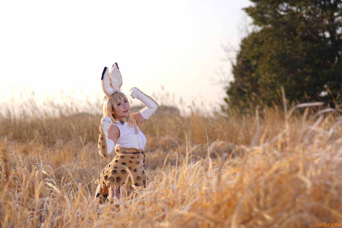 [Hiyohii Love] Bộ sưu tập ảnh của các tư thế khiêu dâm của Serval-Chan