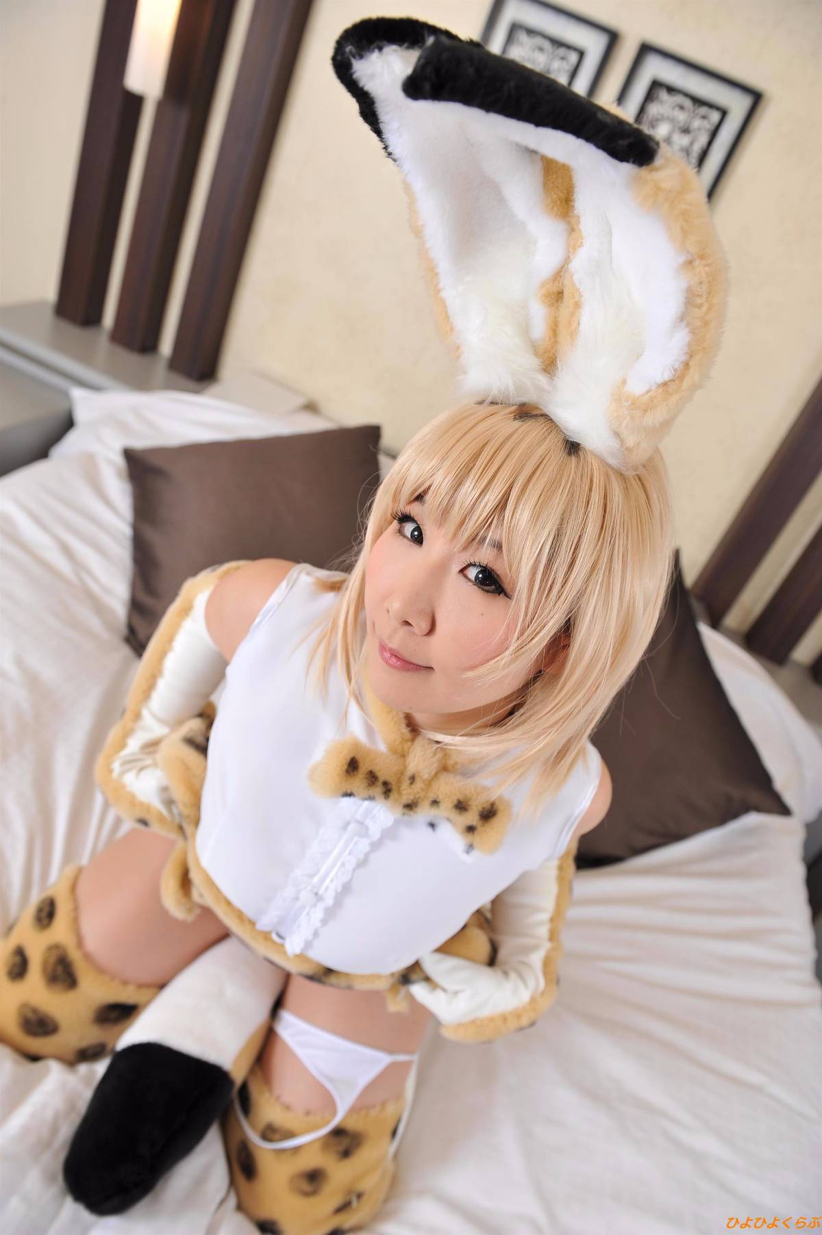 [Hiyohii Love] Bộ sưu tập ảnh của các tư thế khiêu dâm của Serval-Chan