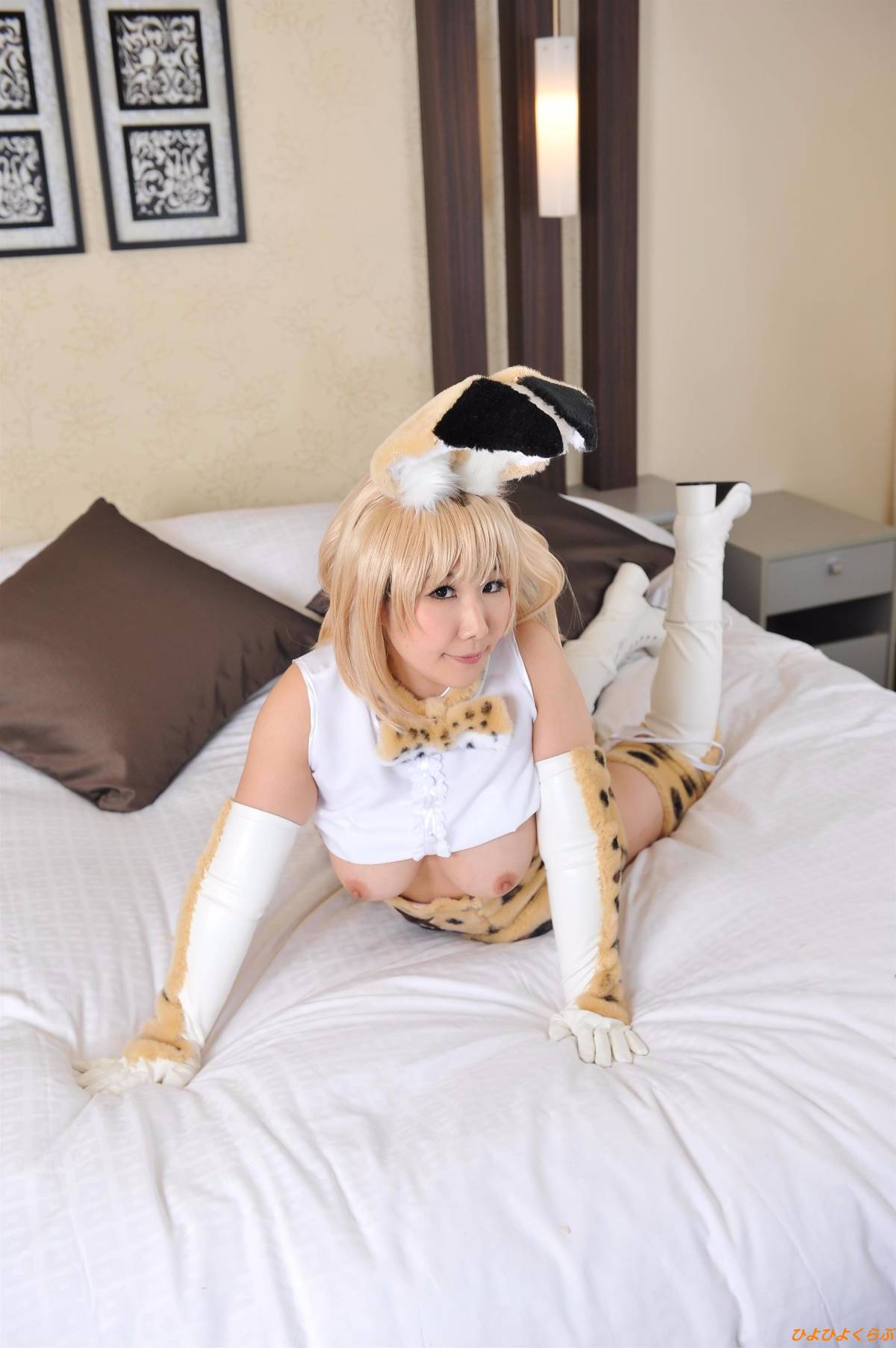 [Hiyohii Love] Bộ sưu tập ảnh của các tư thế khiêu dâm của Serval-Chan