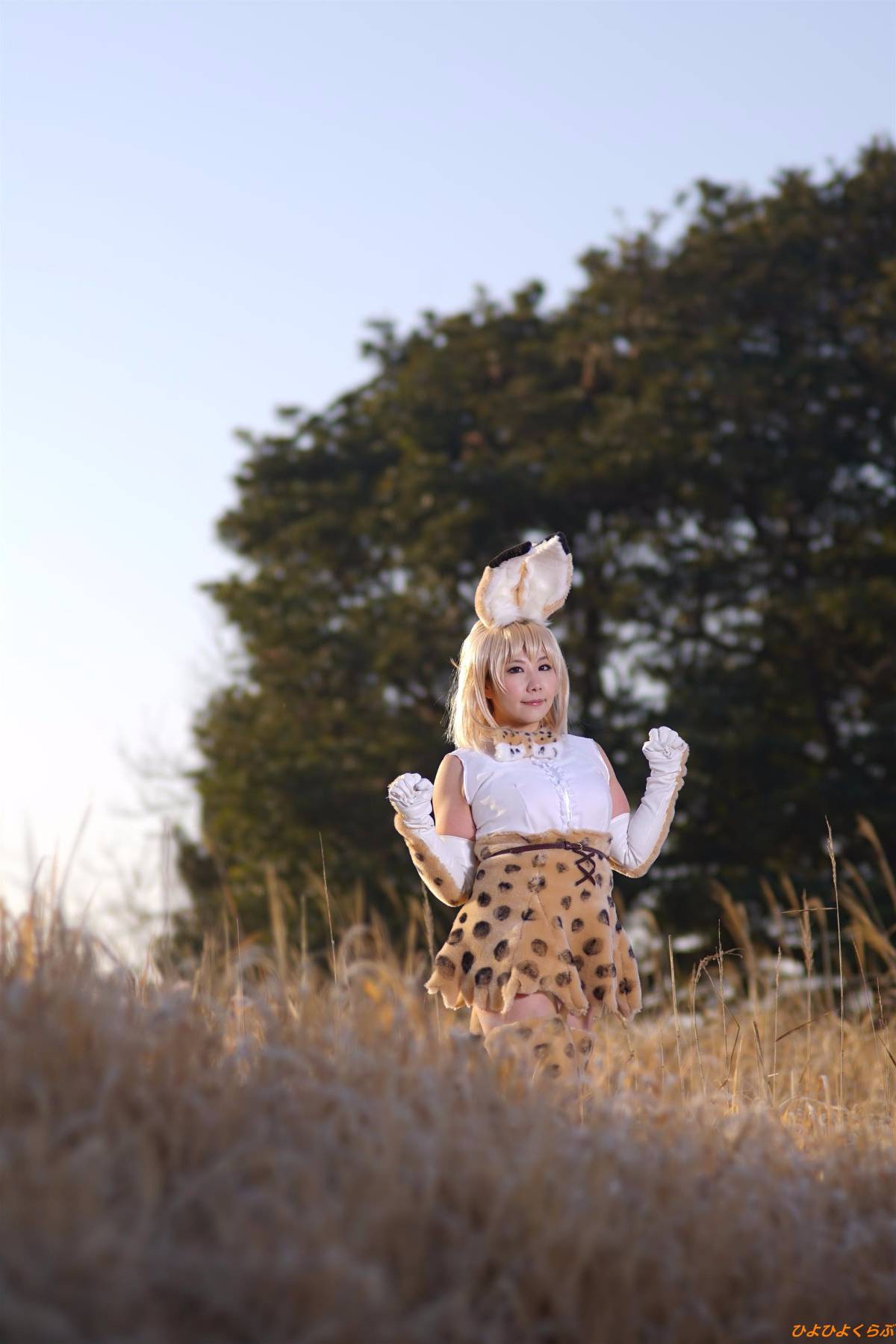 [Hiyohii Love] Bộ sưu tập ảnh của các tư thế khiêu dâm của Serval-Chan