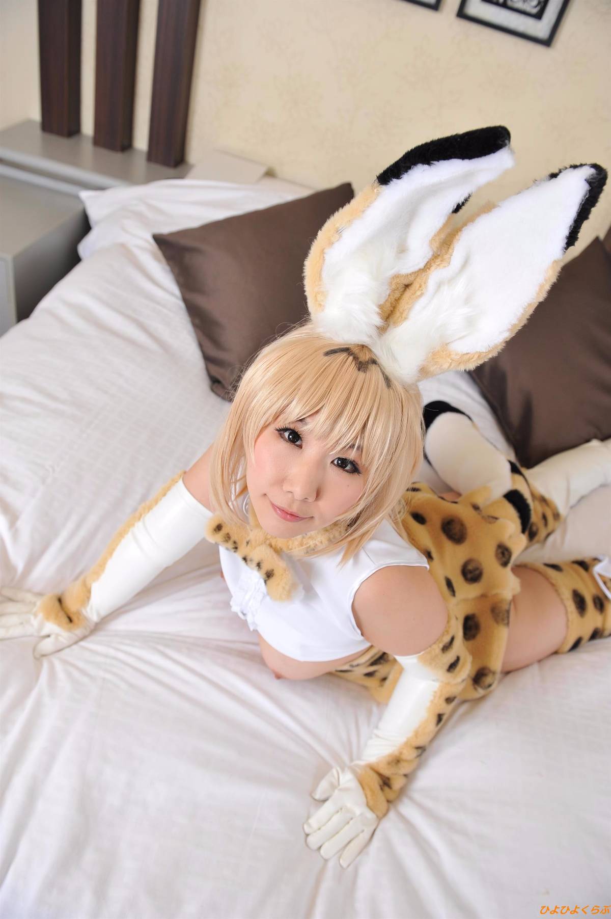 [Hiyohii Love] Bộ sưu tập ảnh của các tư thế khiêu dâm của Serval-Chan