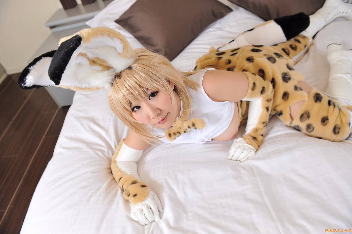 [Hiyohii Love] Bộ sưu tập ảnh của các tư thế khiêu dâm của Serval-Chan