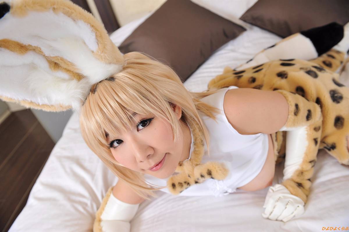[Hiyohii Love] Bộ sưu tập ảnh của các tư thế khiêu dâm của Serval-Chan