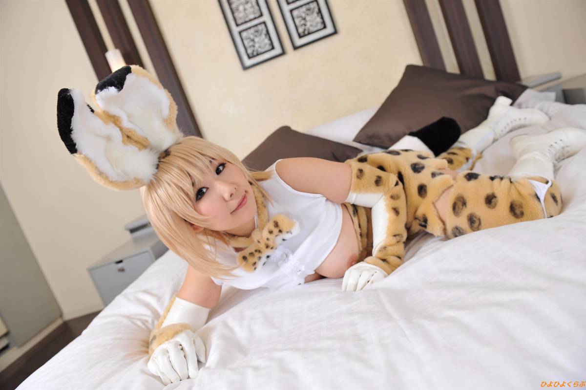 [Hiyohii Love] Bộ sưu tập ảnh của các tư thế khiêu dâm của Serval-Chan