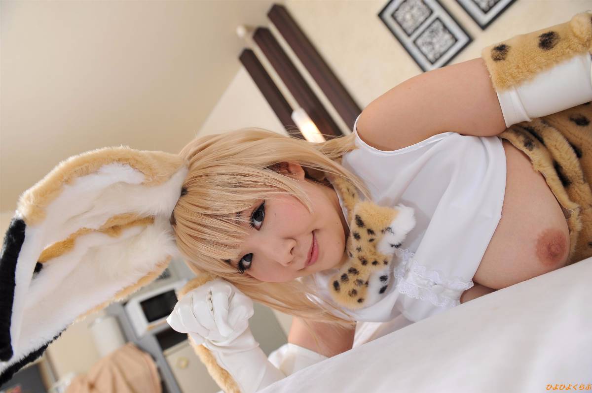 [Hiyohii Love] Bộ sưu tập ảnh của các tư thế khiêu dâm của Serval-Chan
