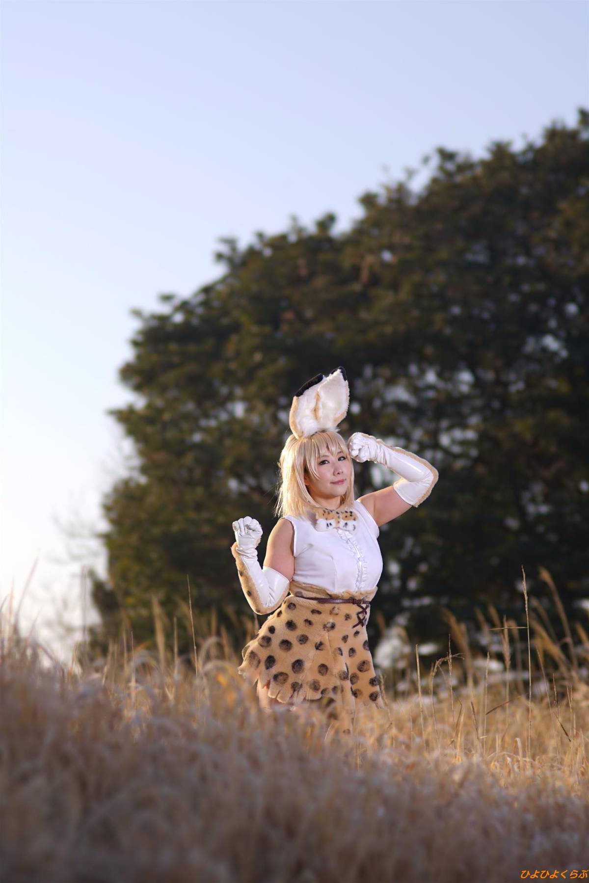 [Hiyohii Love] Bộ sưu tập ảnh của các tư thế khiêu dâm của Serval-Chan