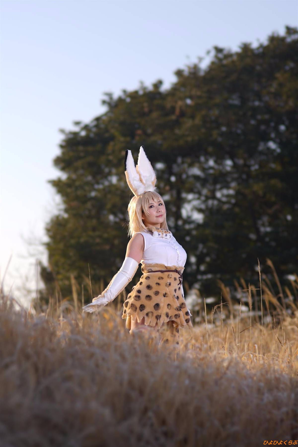 [Hiyohii Love] Bộ sưu tập ảnh của các tư thế khiêu dâm của Serval-Chan