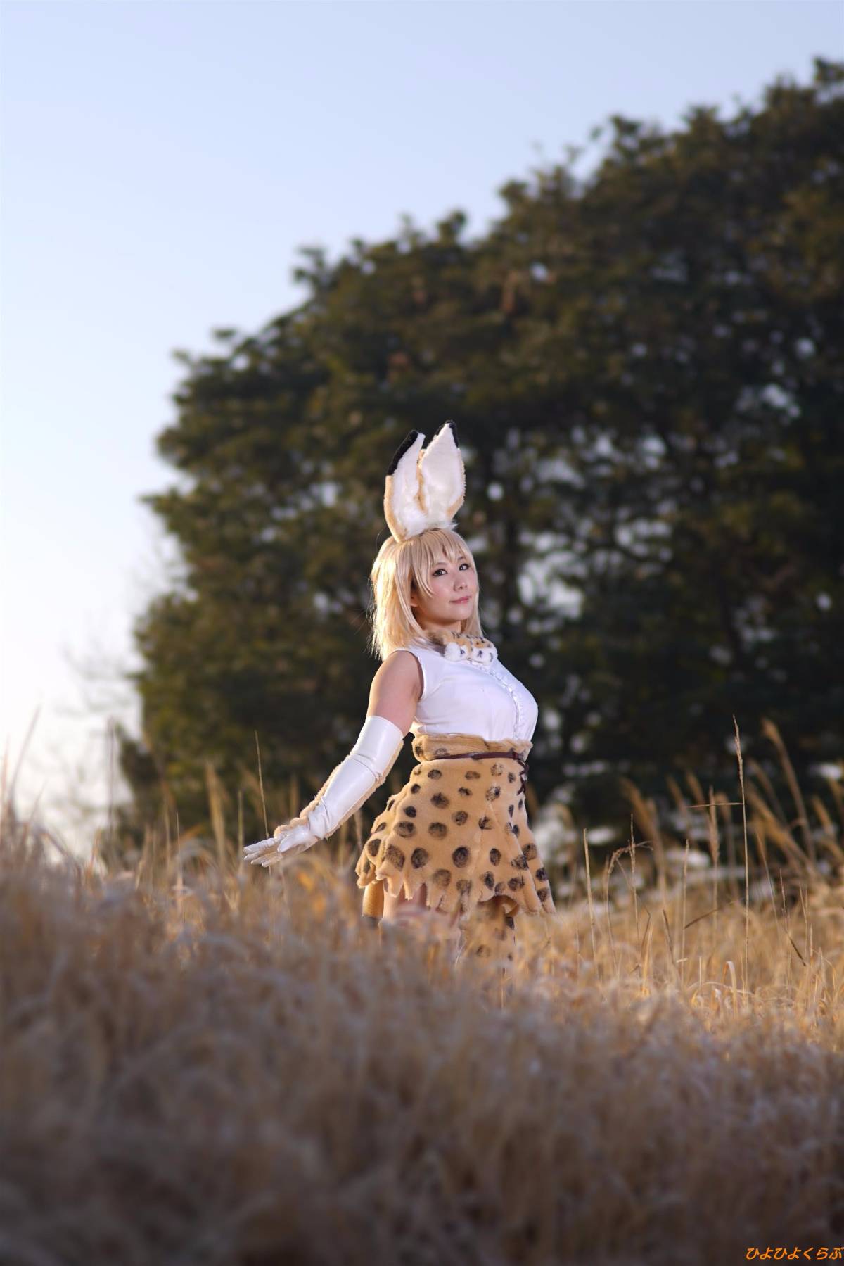 [Hiyohii Love] Bộ sưu tập ảnh của các tư thế khiêu dâm của Serval-Chan