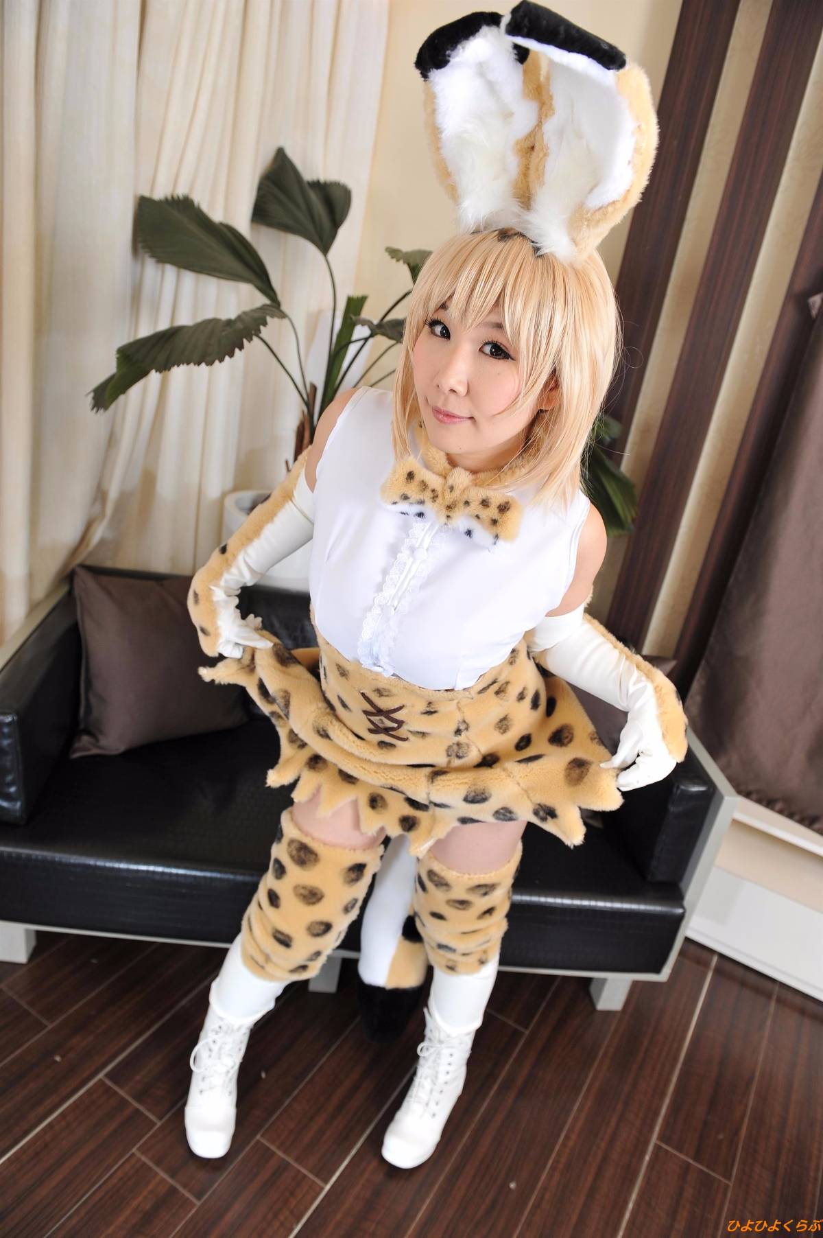 [Hiyohii Love] Bộ sưu tập ảnh của các tư thế khiêu dâm của Serval-Chan