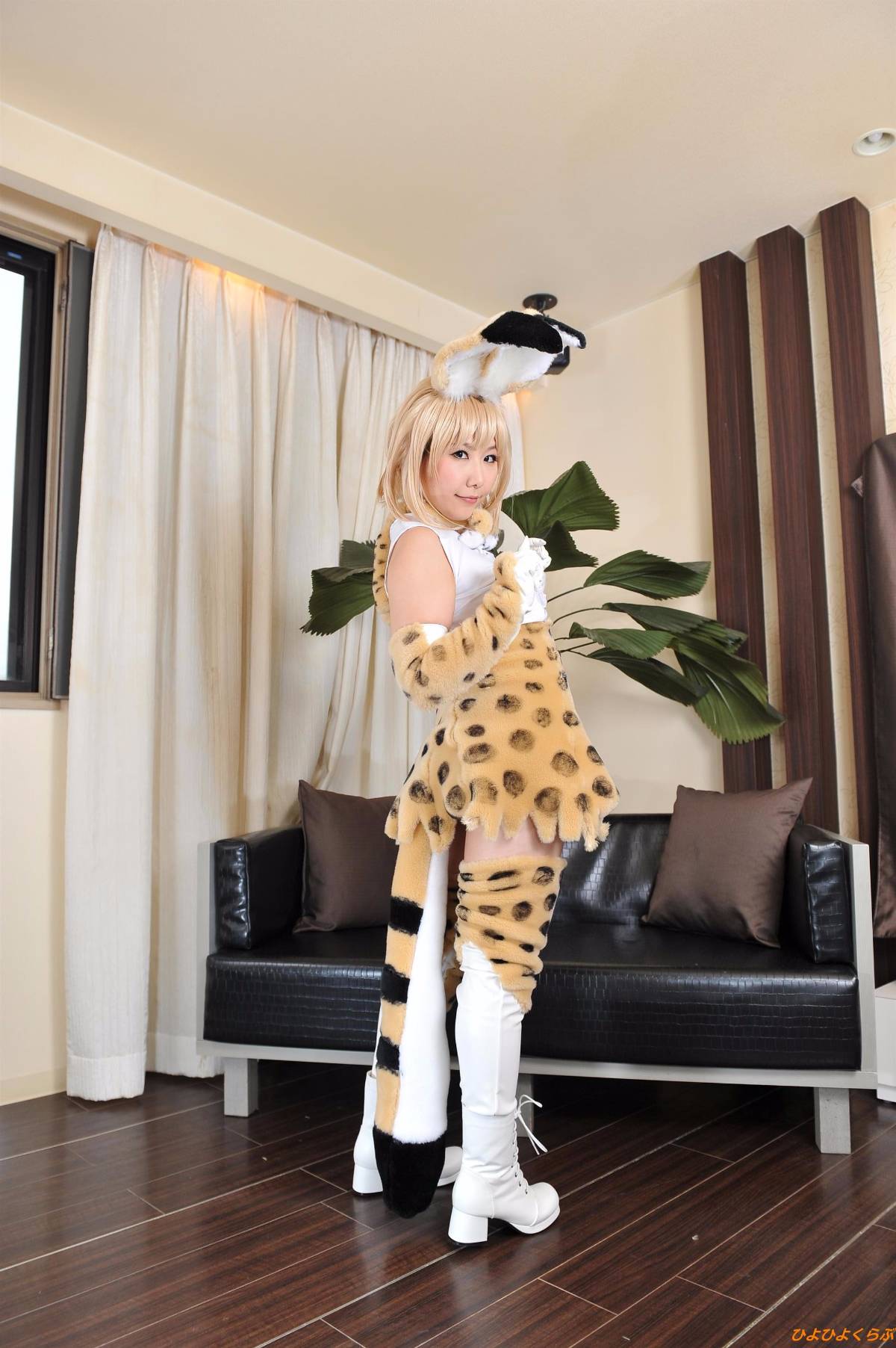 [Hiyohii Love] Bộ sưu tập ảnh của các tư thế khiêu dâm của Serval-Chan