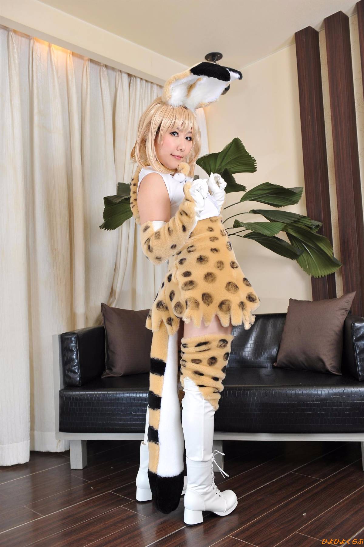 [Hiyohii Love] Bộ sưu tập ảnh của các tư thế khiêu dâm của Serval-Chan