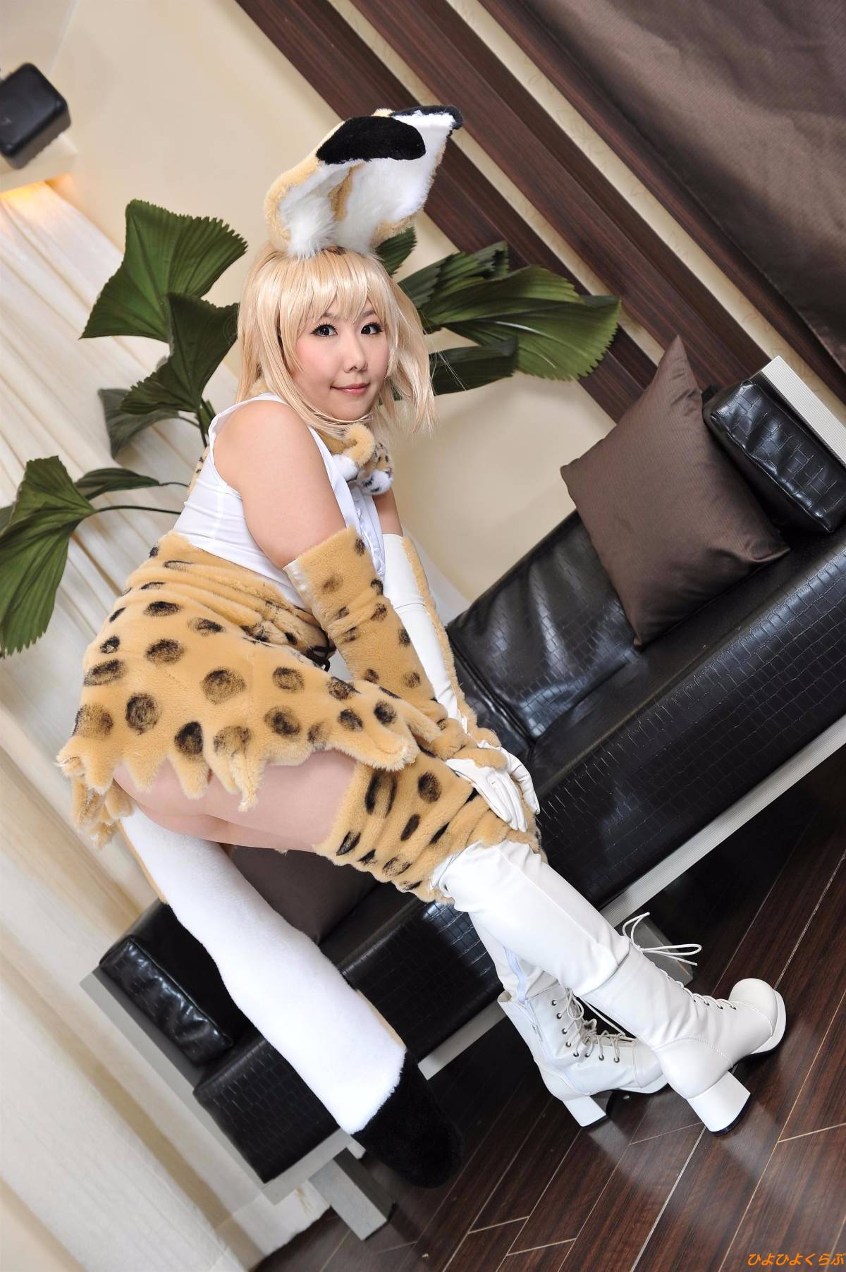 [Hiyohii Love] Bộ sưu tập ảnh của các tư thế khiêu dâm của Serval-Chan