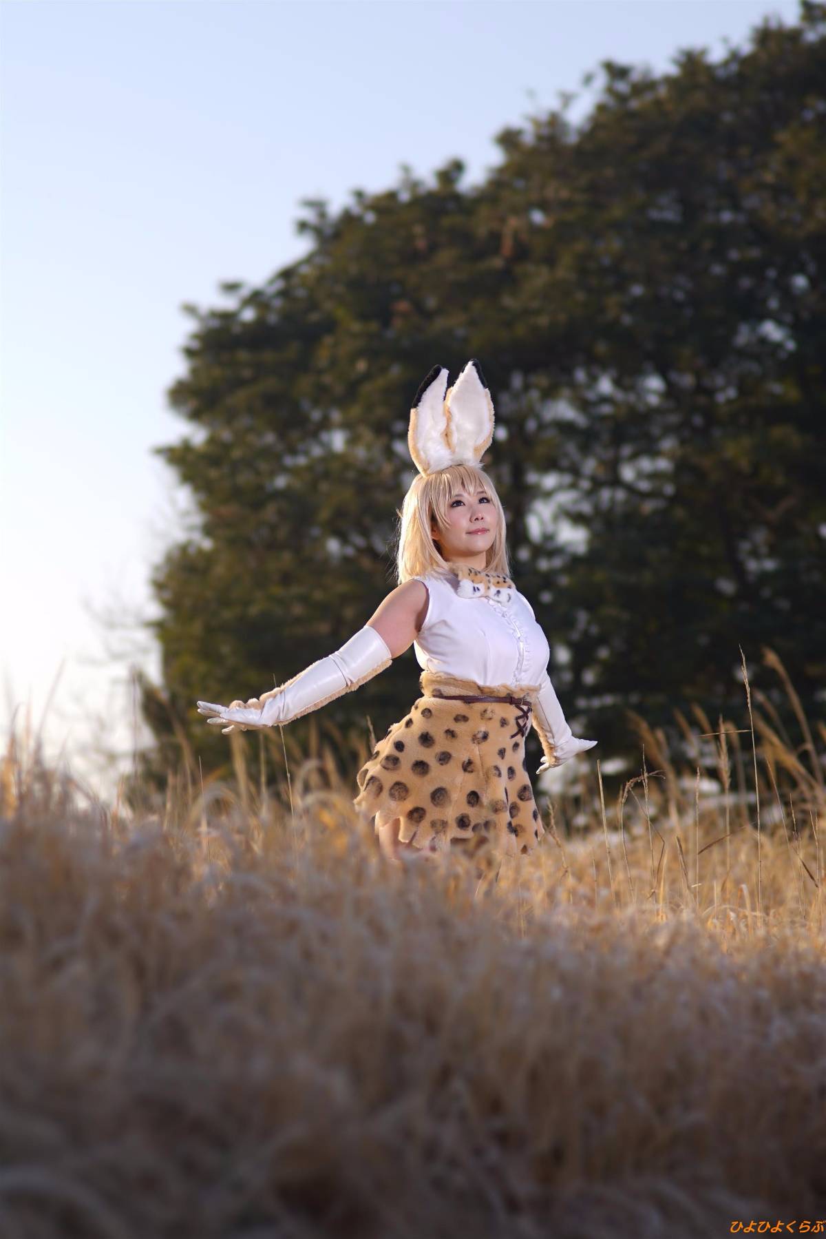 [Hiyohii Love] Bộ sưu tập ảnh của các tư thế khiêu dâm của Serval-Chan