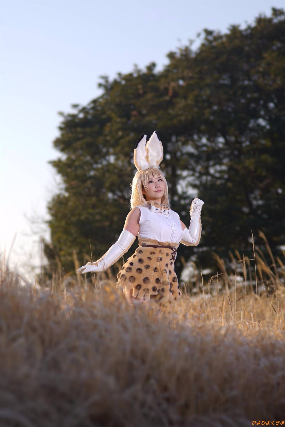 [Hiyohii Love] Bộ sưu tập ảnh của các tư thế khiêu dâm của Serval-Chan