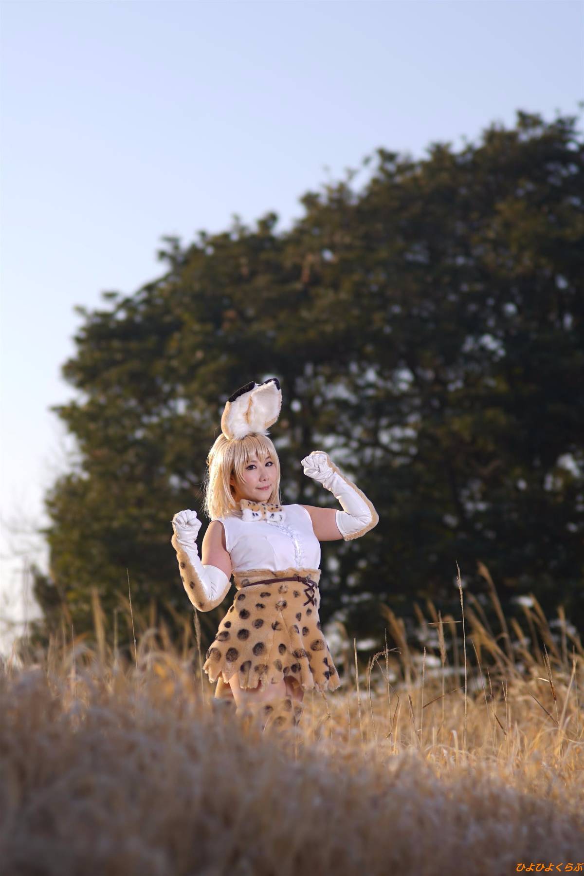 [Hiyohii Love] Bộ sưu tập ảnh của các tư thế khiêu dâm của Serval-Chan