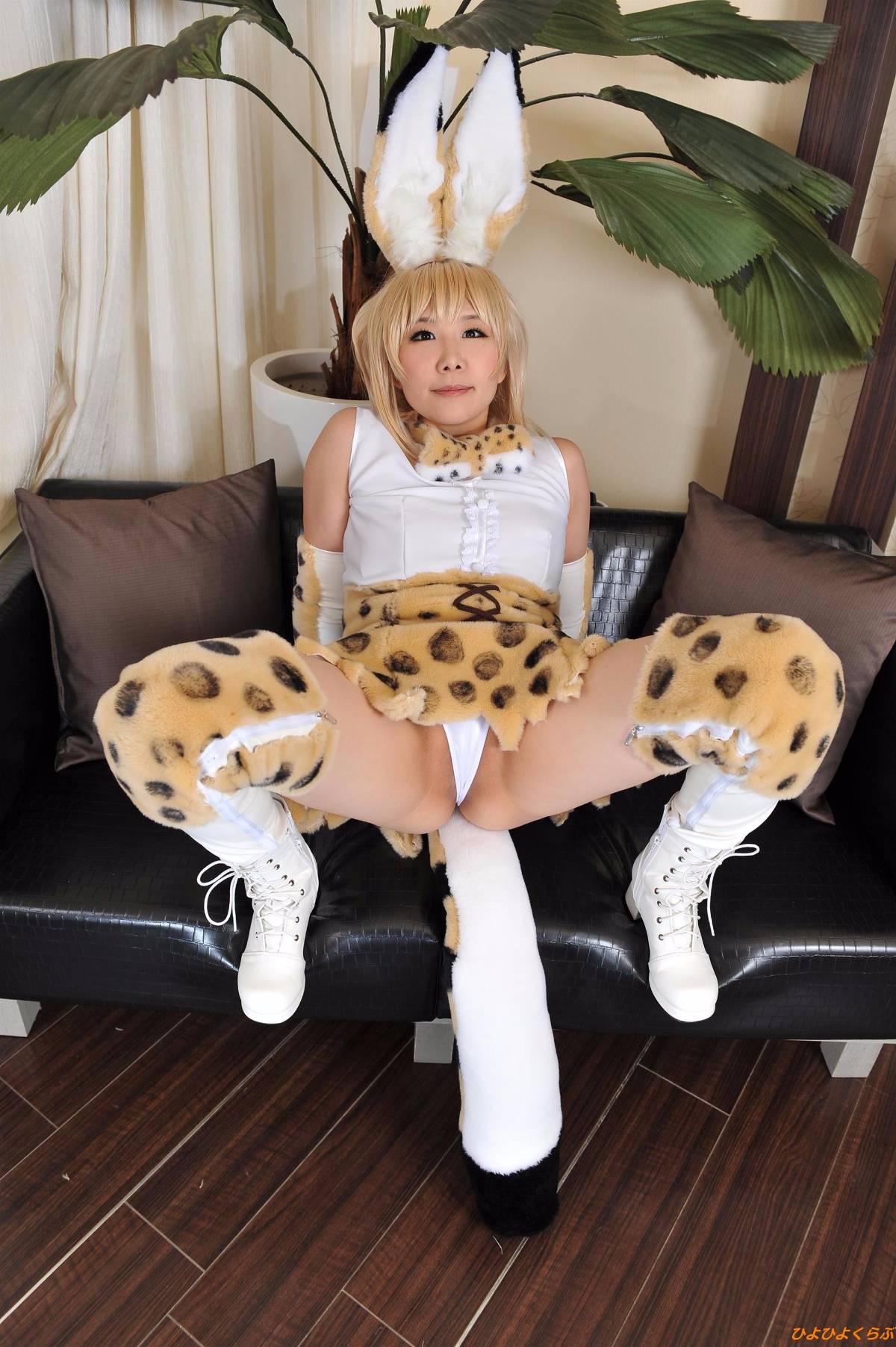 [Hiyohii Love] Bộ sưu tập ảnh của các tư thế khiêu dâm của Serval-Chan