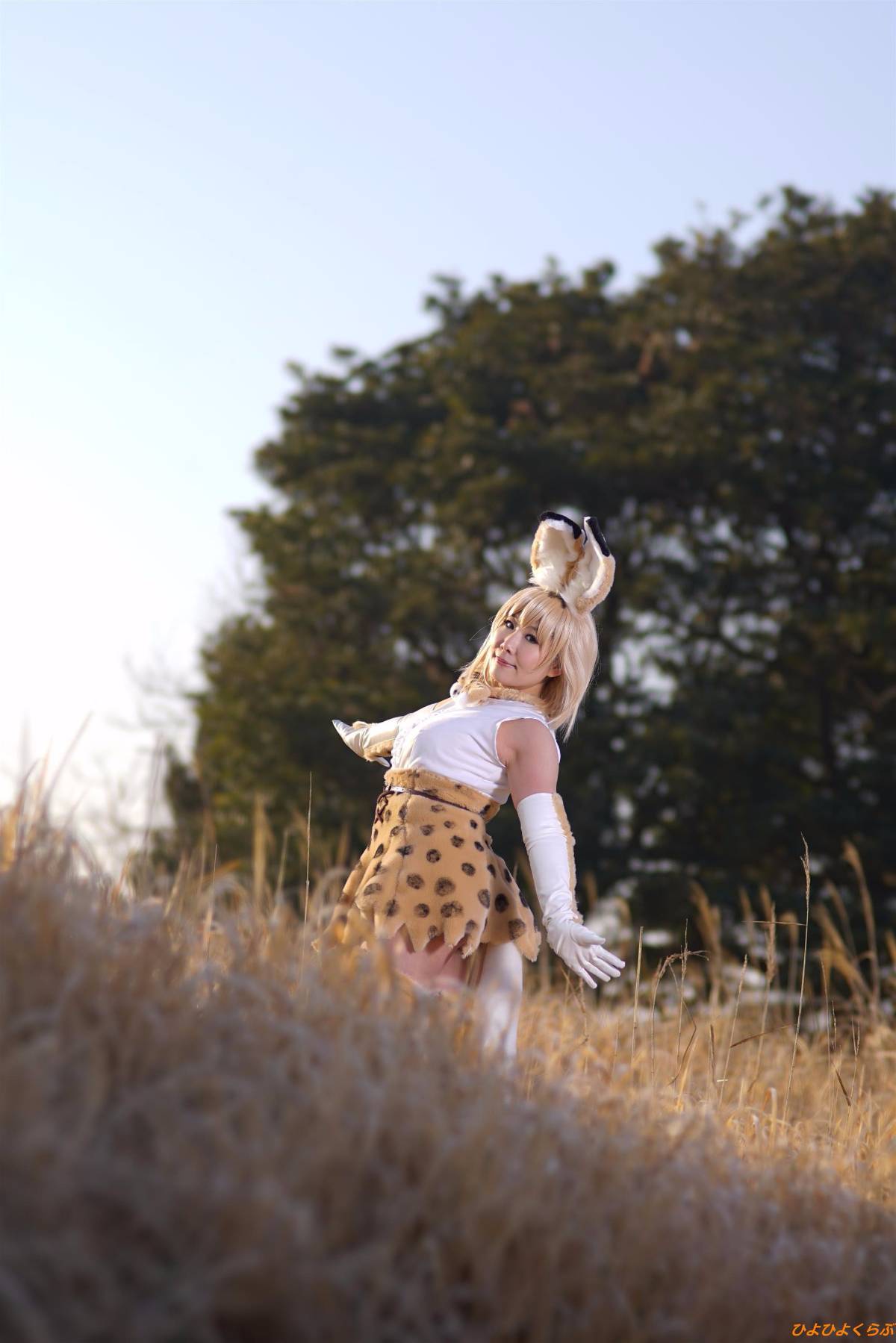 [Hiyohii Love] Bộ sưu tập ảnh của các tư thế khiêu dâm của Serval-Chan