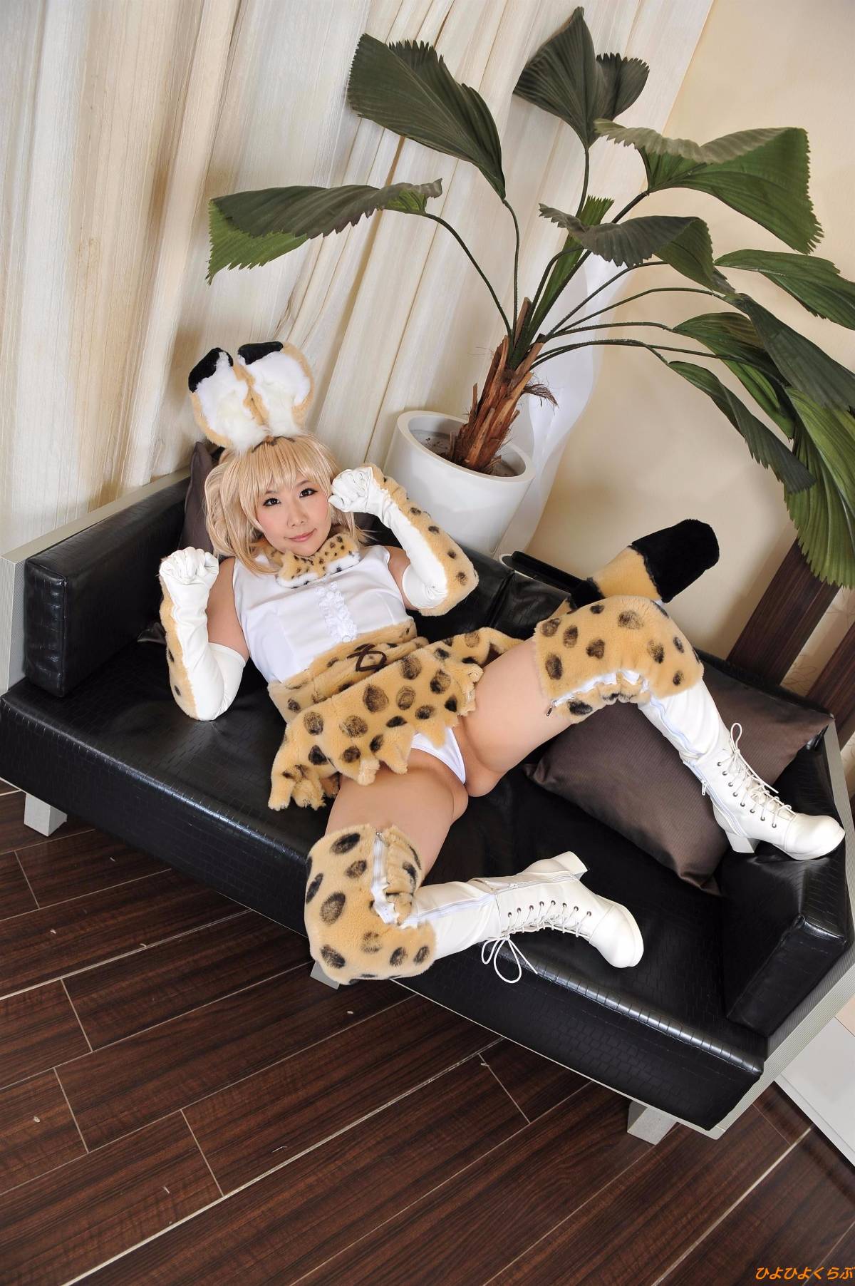 [Hiyohii Love] Bộ sưu tập ảnh của các tư thế khiêu dâm của Serval-Chan